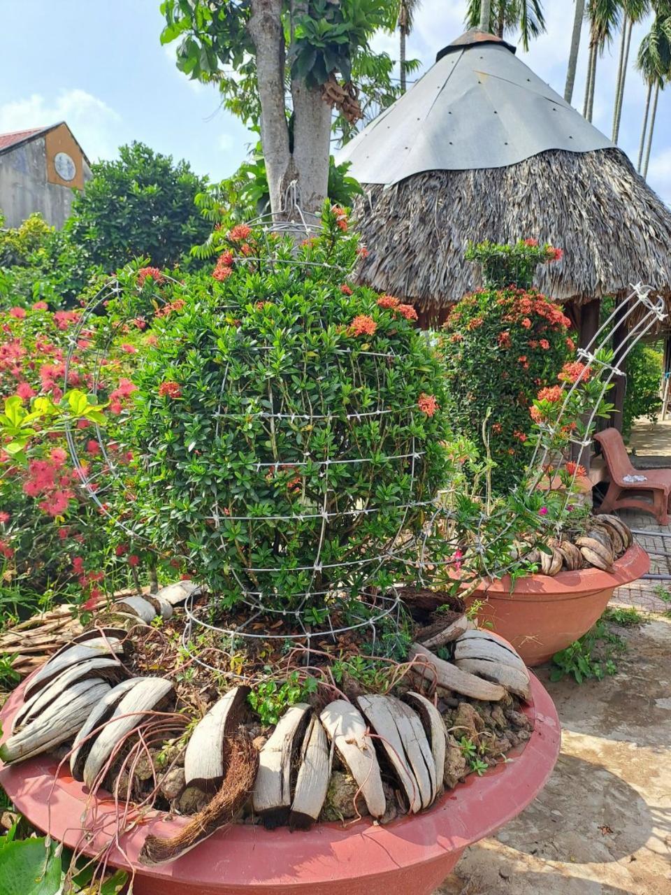 Ngoc Phuong Homestay Vĩnh Long Exterior photo